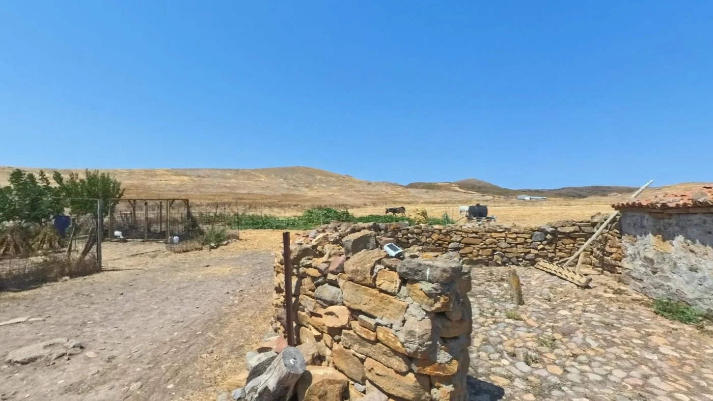 Γιατί σουσάμι και όχι λάδι