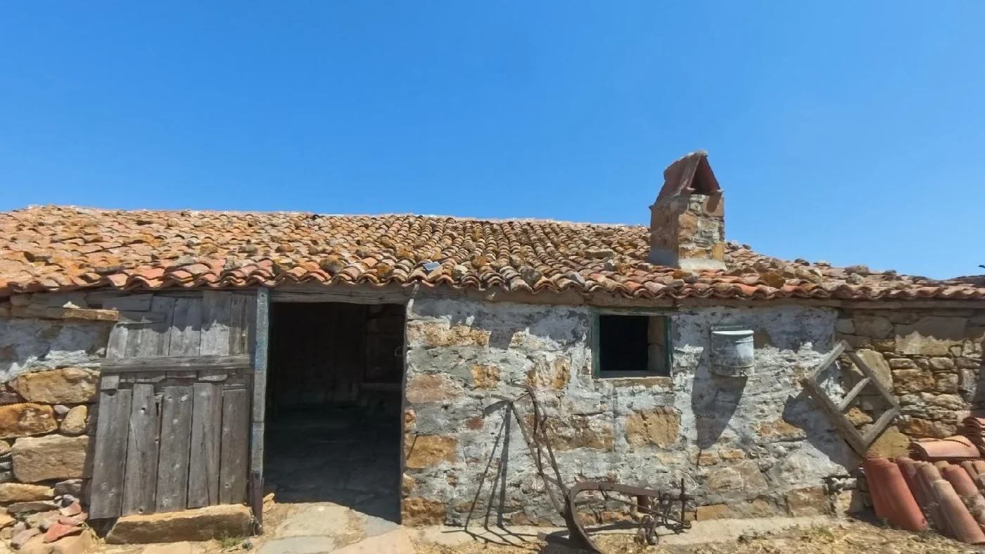 Το «Σάμ᾽», το μικρόκαρπο σουσάμι της Λήμνου
