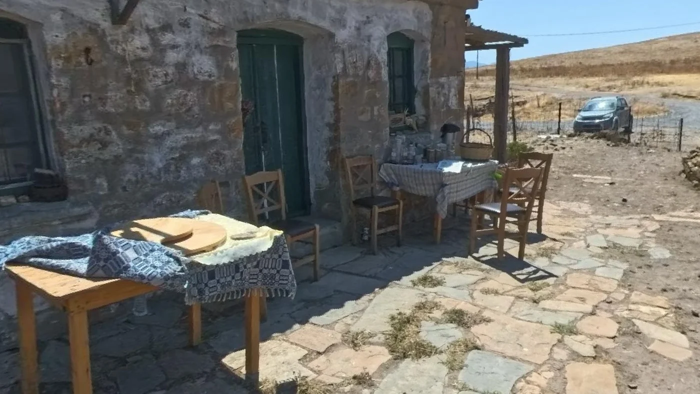 Ο κύκλος της παραγωγής, μέσα στη Μάντρα